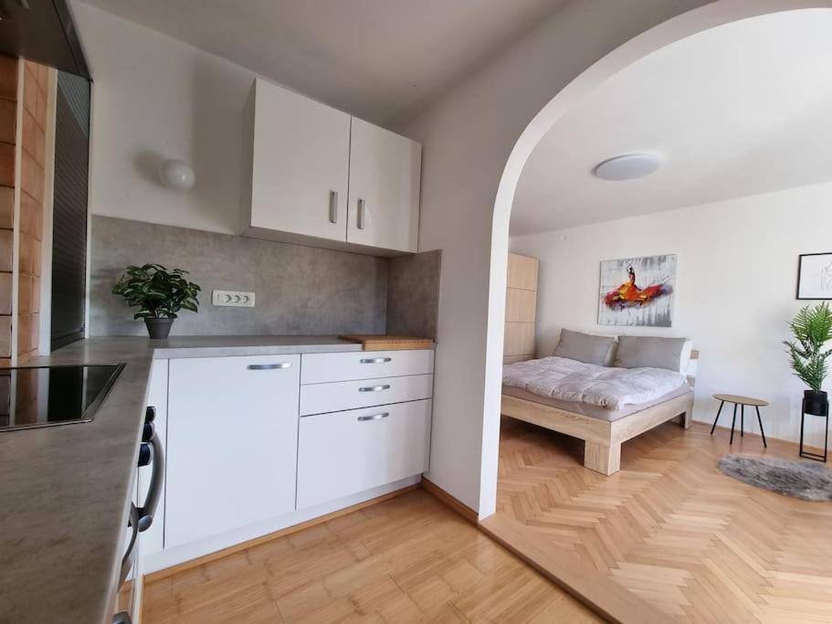 The Rowhouse Apartment Ljubljana - Free Parking Exterior foto